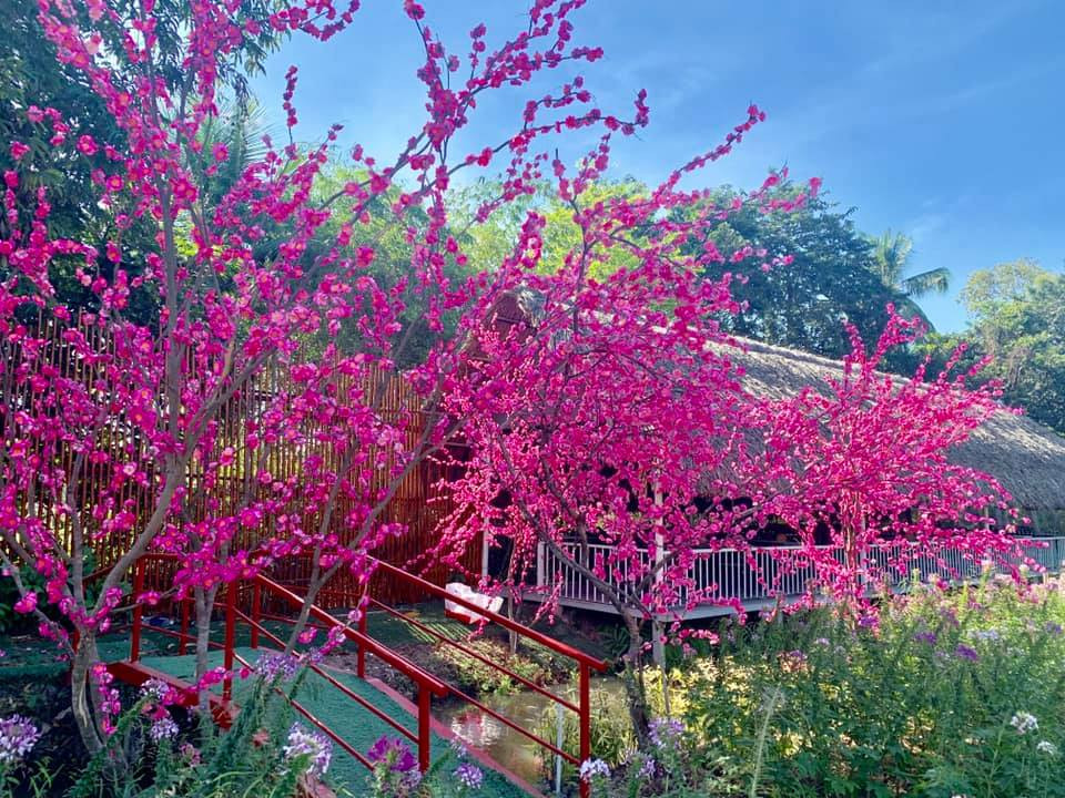 Địa điểm check-in Tết Dương lịch 2021: “Vườn hoa Đà Lạt” giữa lòng Sài Gòn hút giới trẻ ảnh 6