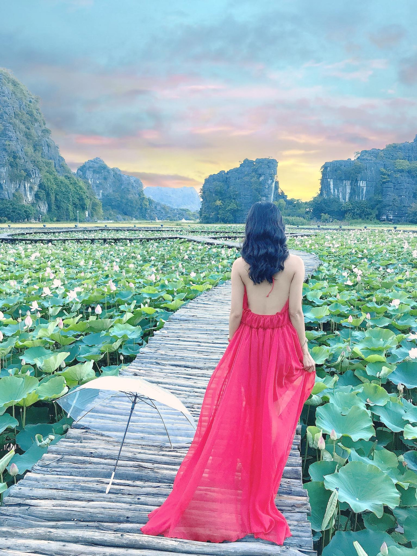 Đẹp lụy tim con đường gỗ giữa cánh đồng sen đang nở rộ ở Hang Múa (Ninh Bình) ảnh 3