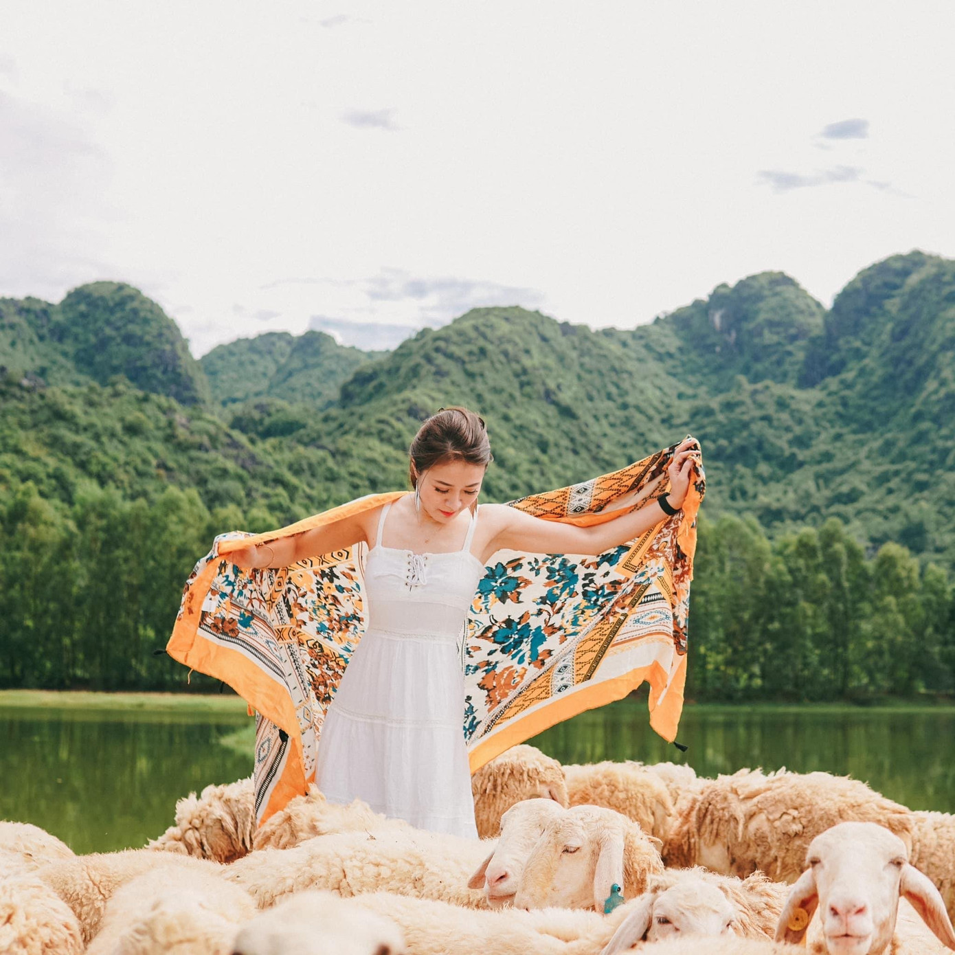 Hang Múa, đồng cừu Gia Viễn (Ninh Bình) lọt top điểm “hot” dịp Tết Dương lịch 2021 ảnh 13