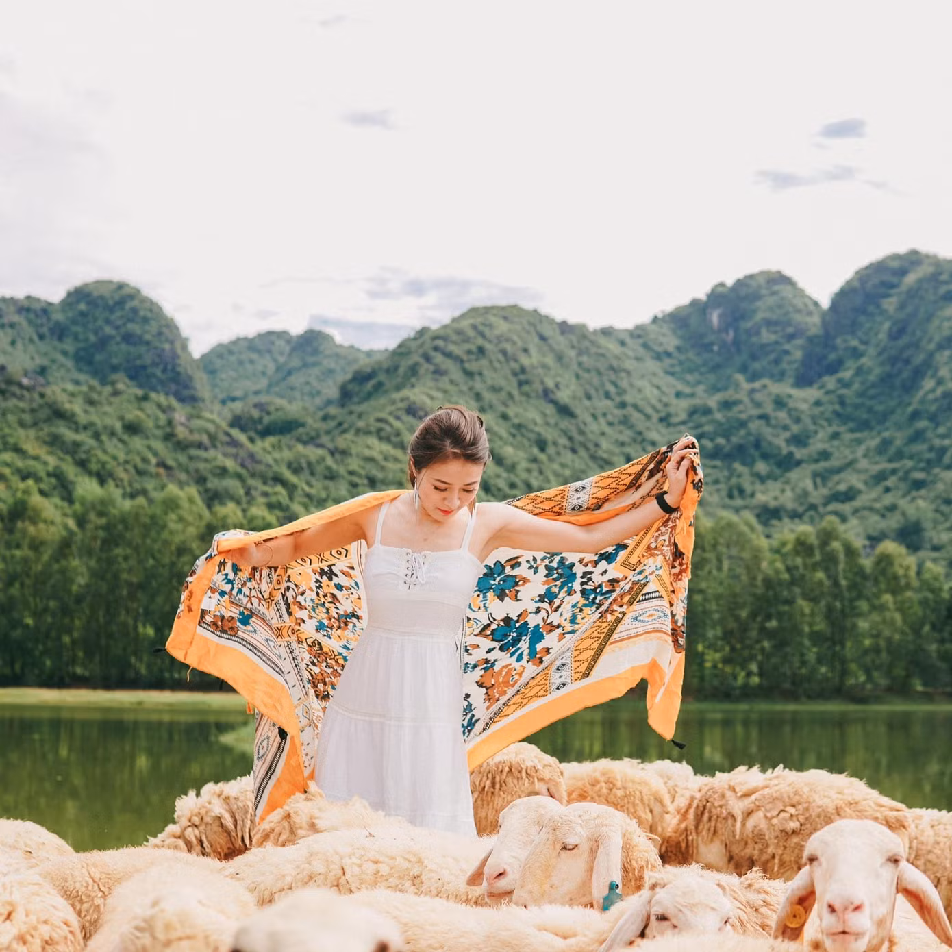 Hang Múa, đồng cừu Gia Viễn (Ninh Bình) lọt top điểm “hot” dịp Tết Dương lịch 2021 ảnh 13
