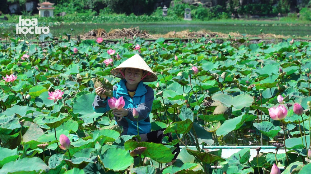 Sen Hang Múa (Ninh Bình) không chỉ đẹp mà còn gây sốt với trà, ẩm thực giữa trời Đông ảnh 2