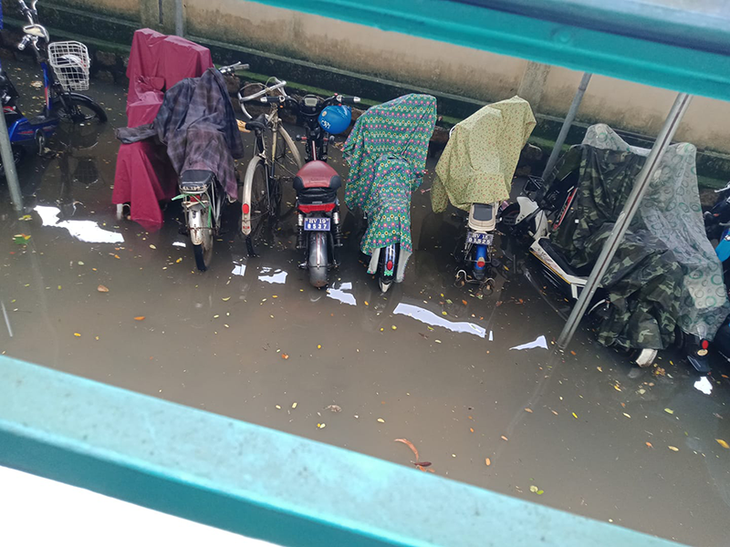 Teen miền Trung: Ngồi ôn bài mà nước ngập tới đầu gối chưa biết khi nào mới trở lại trường ảnh 2