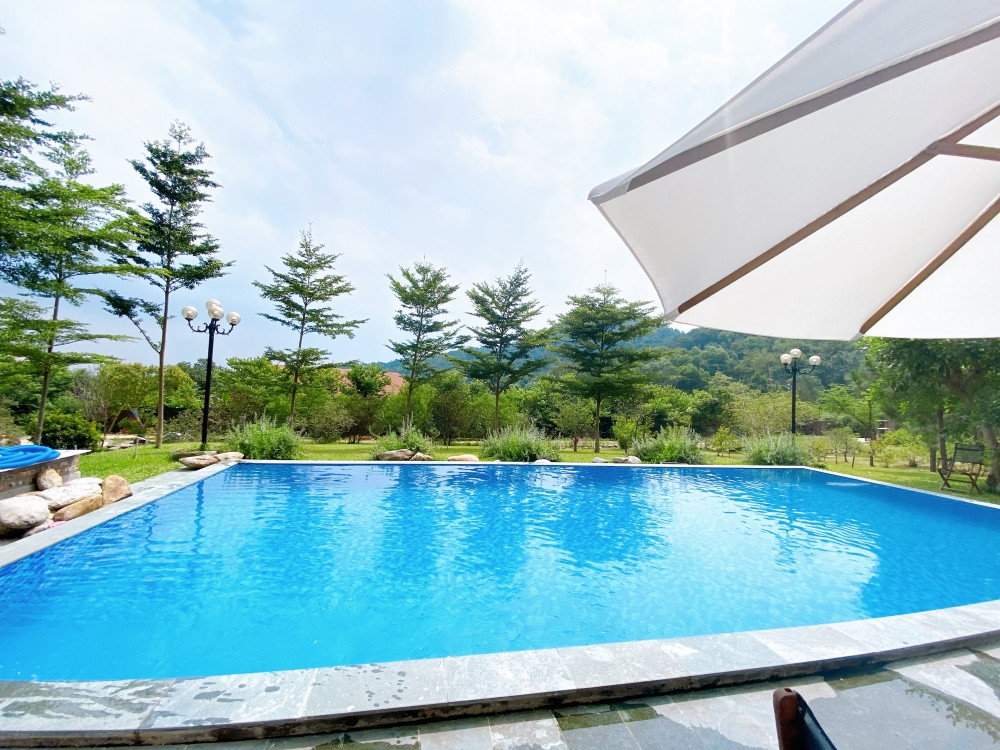 Tha hồ “sống ảo” ở villa nhà kính giữa rừng thông cách trung tâm Hà Nội 1 tiếng chạy xe! ảnh 11