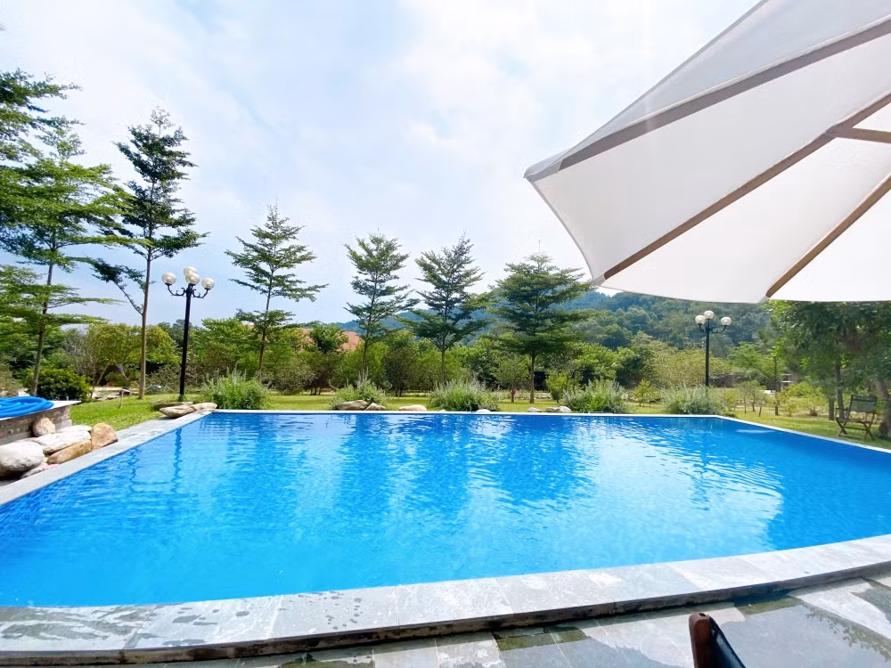 Tha hồ “sống ảo” ở villa nhà kính giữa rừng thông cách trung tâm Hà Nội 1 tiếng chạy xe! ảnh 11