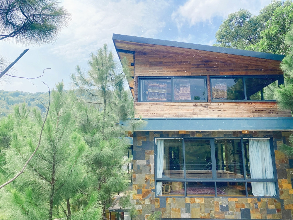 Tha hồ “sống ảo” ở villa nhà kính giữa rừng thông cách trung tâm Hà Nội 1 tiếng chạy xe! ảnh 6