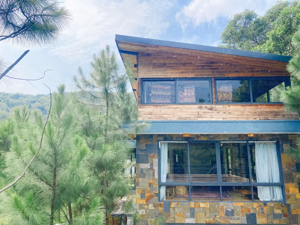 Tha hồ “sống ảo” ở villa nhà kính giữa rừng thông cách trung tâm Hà Nội 1 tiếng chạy xe! ảnh 6