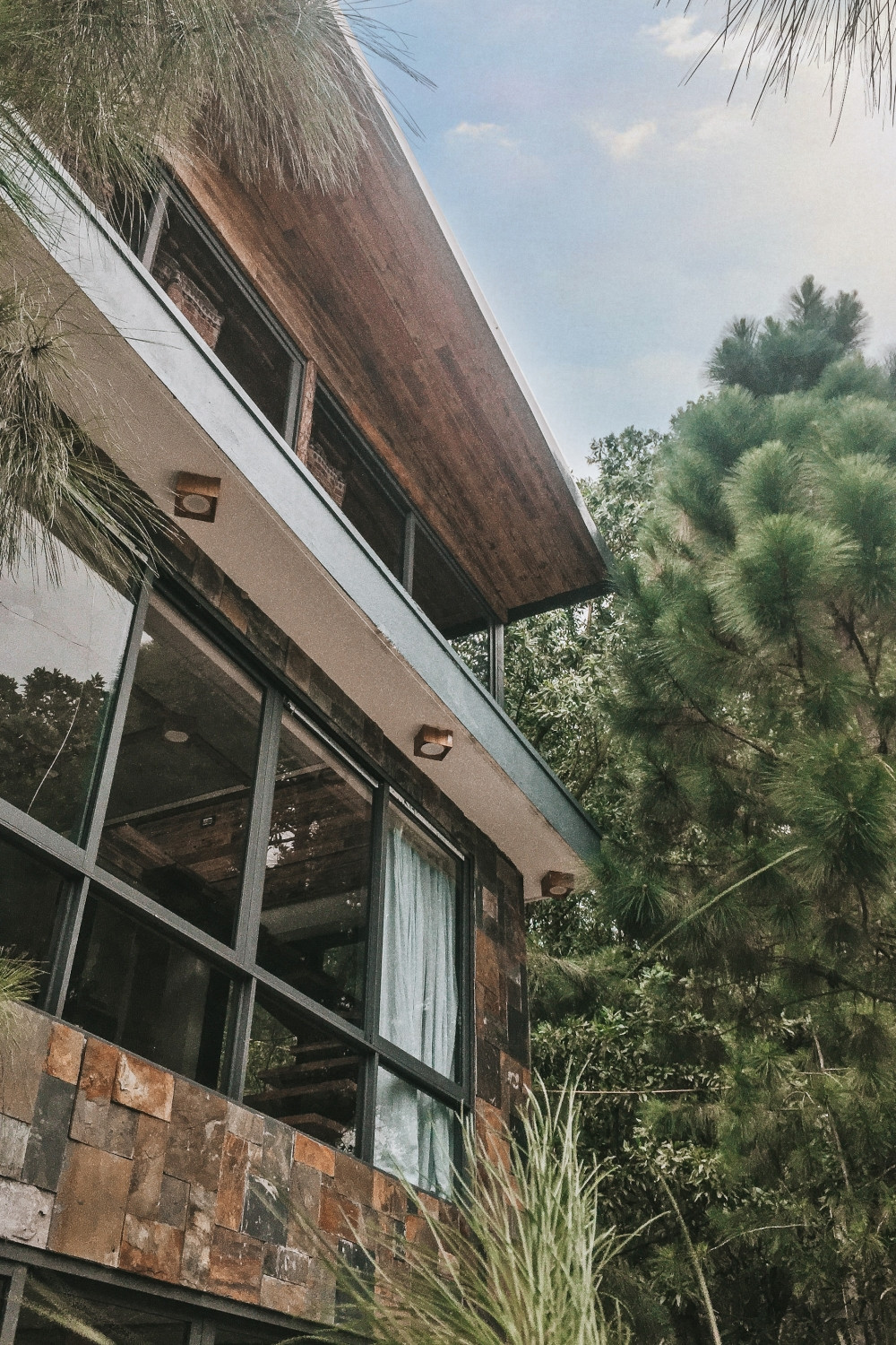 Tha hồ “sống ảo” ở villa nhà kính giữa rừng thông cách trung tâm Hà Nội 1 tiếng chạy xe! ảnh 5