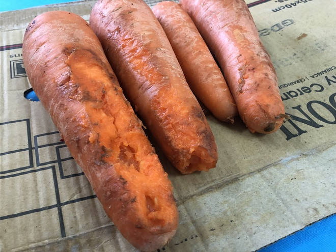 TP.HCM: Phụ huynh bật khóc, quây kín cổng trường khi chứng kiến bữa ăn bán trú của con ảnh 3