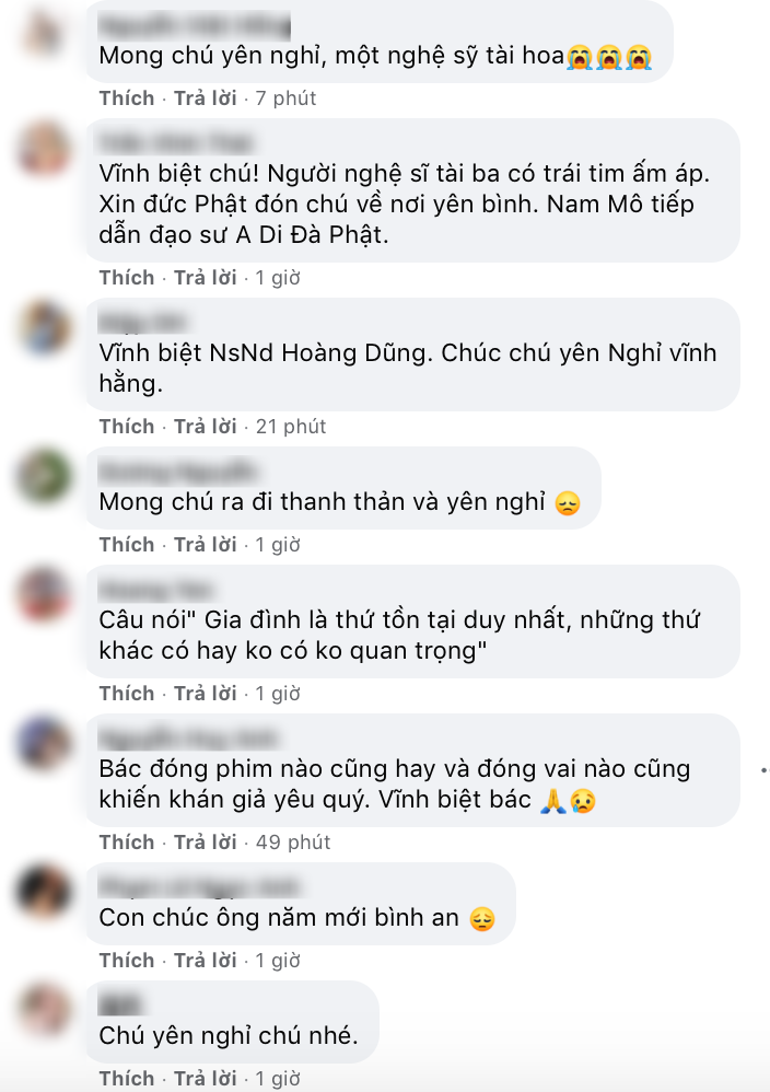 Người hâm mộ và nhiều nghệ sĩ bày tỏ sự tiếc thương tại trang Facebook của cố NSND Hoàng Dũng ảnh 5