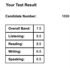 Lương Thùy Linh cho rằng hoa hậu không phải là một nghề, không quan niệm điểm số là tất cả ảnh 6