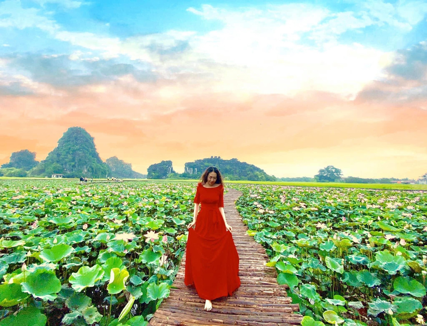 Đẹp lụy tim con đường gỗ giữa cánh đồng sen đang nở rộ ở Hang Múa (Ninh Bình) ảnh 4