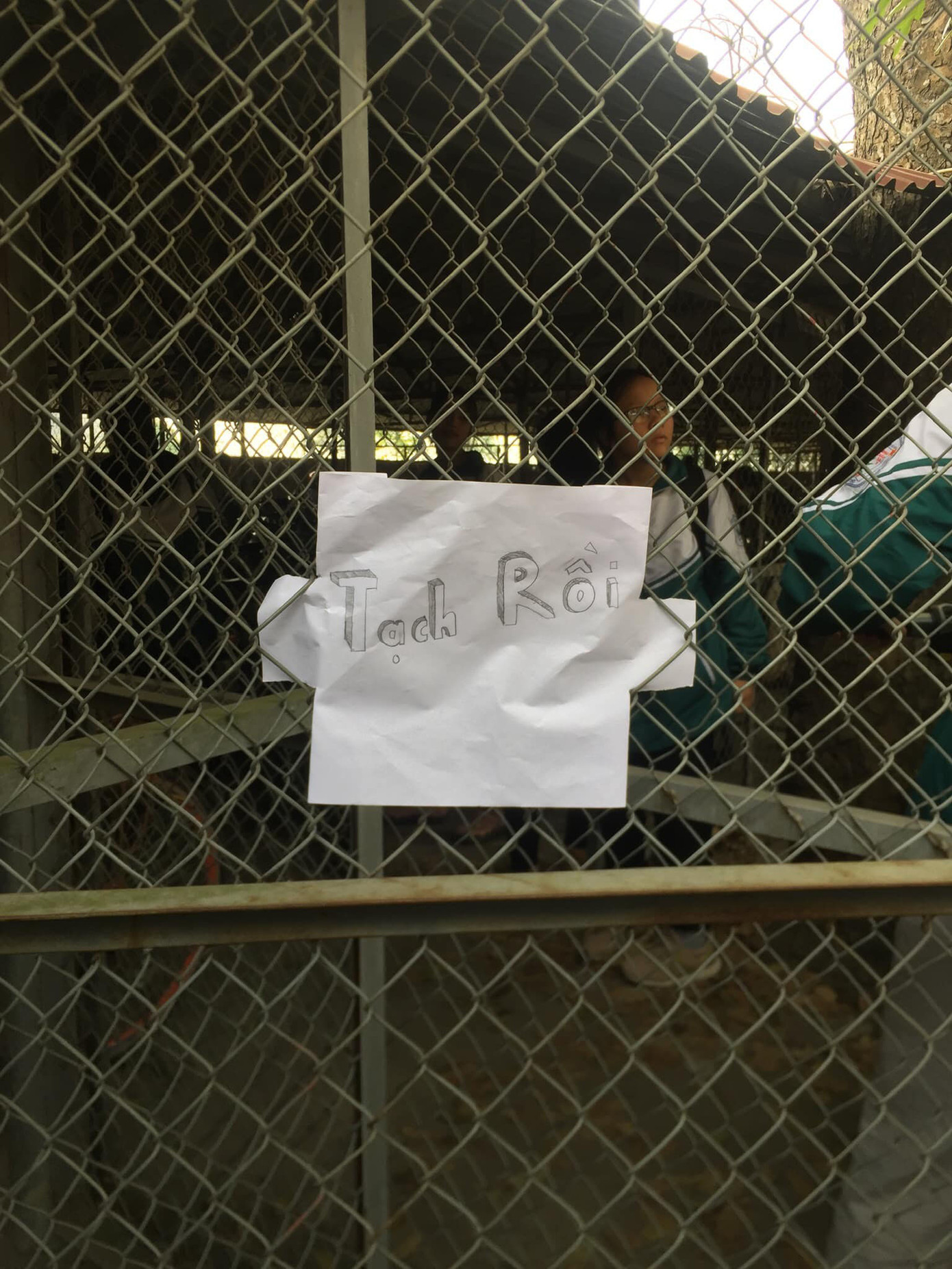 Loạt ảnh mùa thi của teen: “Choáng” với lịch sử tìm kiếm trên web, “tậu” đôi giày Hoá học ảnh 11