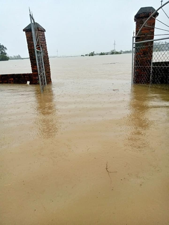 Cảnh tượng xót xa: Nhiều nơi tại Nghệ An ngập sâu trong nước lũ, khu vực biển bị sập bờ kè ảnh 5