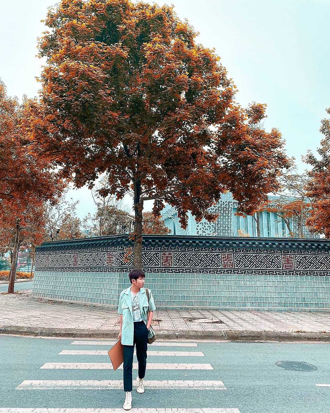 (Ảnh: IG @riviu.vn_hanoi) Con đường lá phong đỏ được mệnh danh “Seoul giữa lòng Hà Nội“: Ảnh thực tế khác xa! ảnh 2