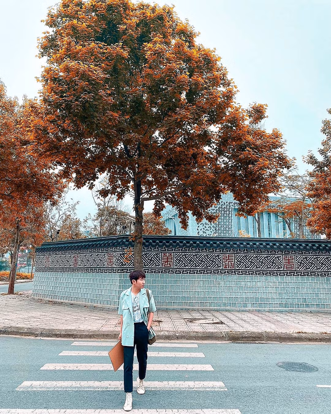 Con đường lá phong đỏ được mệnh danh “Seoul giữa lòng Hà Nội“: Ảnh thực tế khác xa! ảnh 2