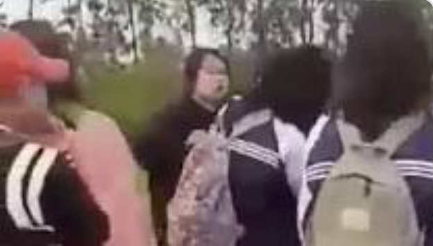 Liên tiếp 2 vụ nữ sinh THPT đánh nhau, dư luận bức xúc khi bạn bè xung quanh thờ ơ ảnh 1