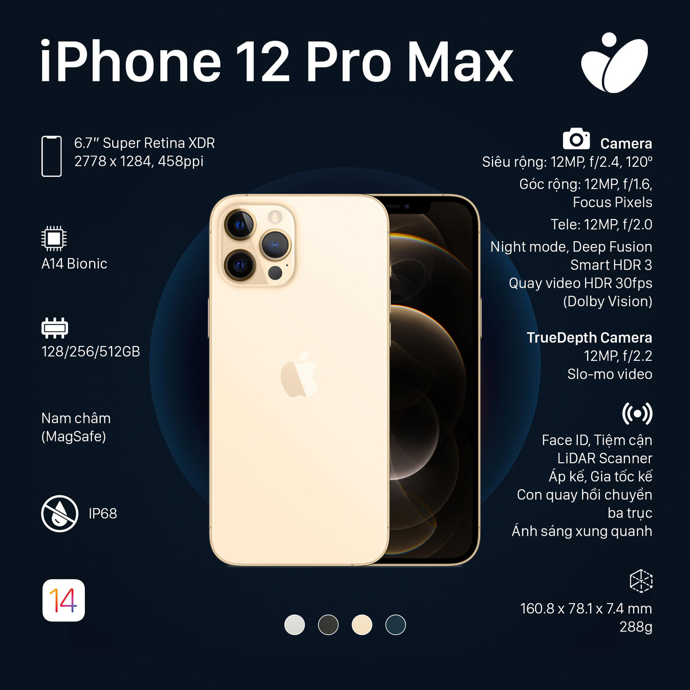 Phiên bản iPhone 12 Pro, iPhone 12 Pro Max: Màn hình lớn viền mỏng, có thêm 2 màu sắc mới ảnh 3