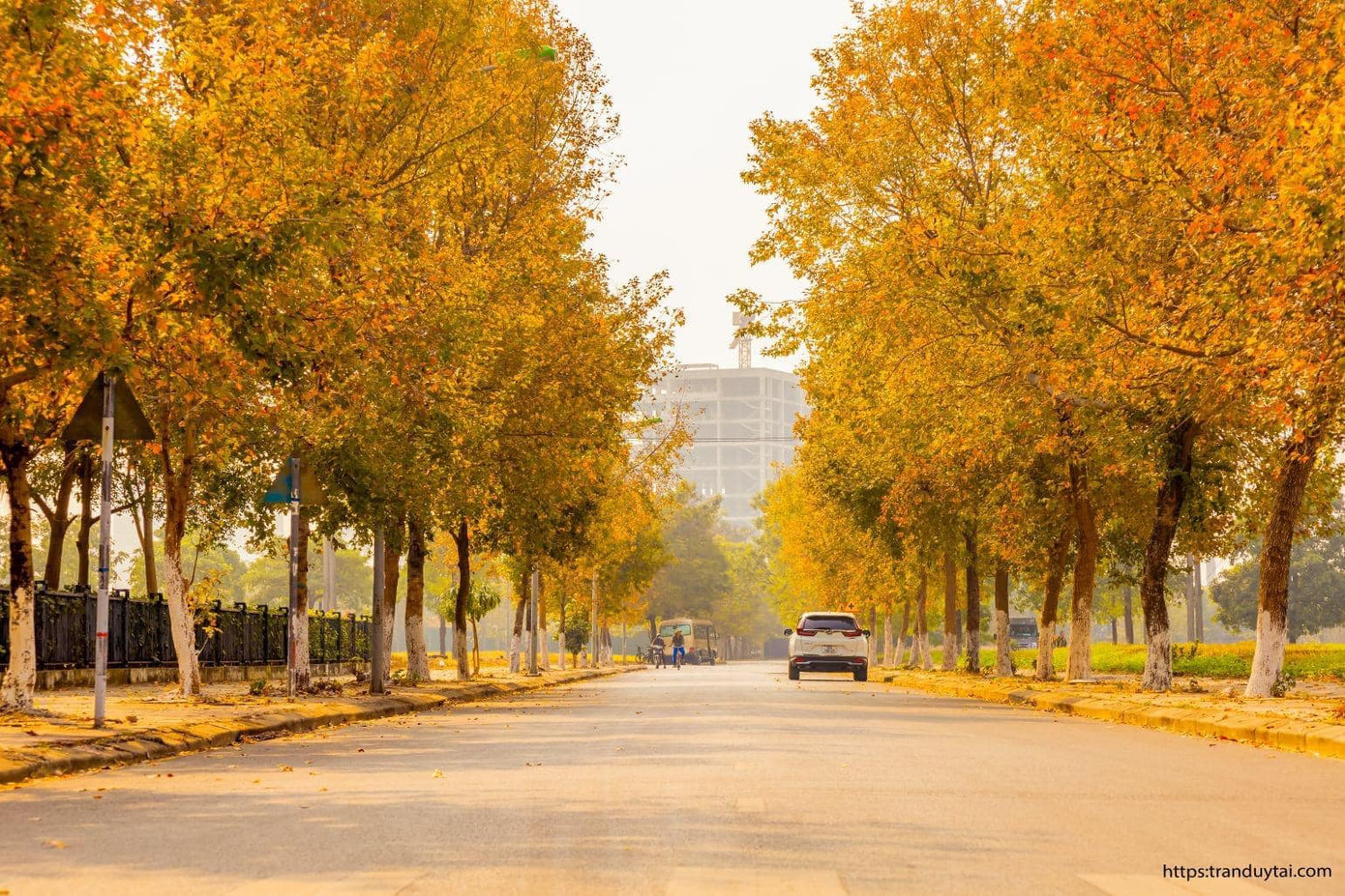 Con đường lá phong đỏ giữa lòng Thủ đô đang được dân mạng chia sẻ rần rần. (Ảnh: Trần Duy Tài) Con đường lá phong đỏ được mệnh danh “Seoul giữa lòng Hà Nội“: Ảnh thực tế khác xa! ảnh 1