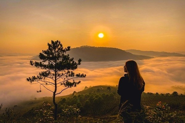 View “săn mây” đẹp ảo diệu ở Đà Lạt thông báo đóng cửa vì ý thức kém của du khách ảnh 8