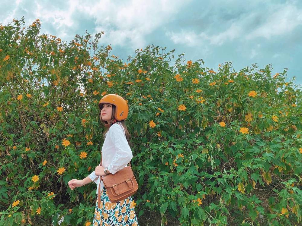 Tháng 11 “check-in” ở Đà Lạt: Bật mí những địa điểm tràn ngập dã quỳ, chẳng sợ chen chúc ảnh 1