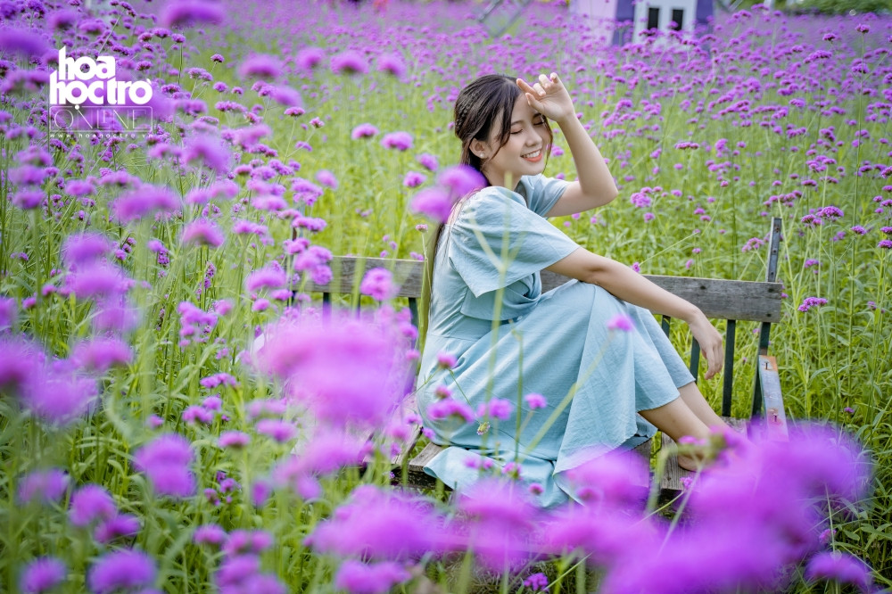 Giới trẻ Hà Nội rủ nhau check-in ở cánh đồng hoa oải hương rộng hàng chục nghìn mét vuông ảnh 8