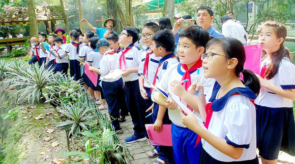 Đề xuất của Bộ Giáo dục và Đào tạo: Cho học sinh “học nghề” từ cấp Tiểu học ảnh 1