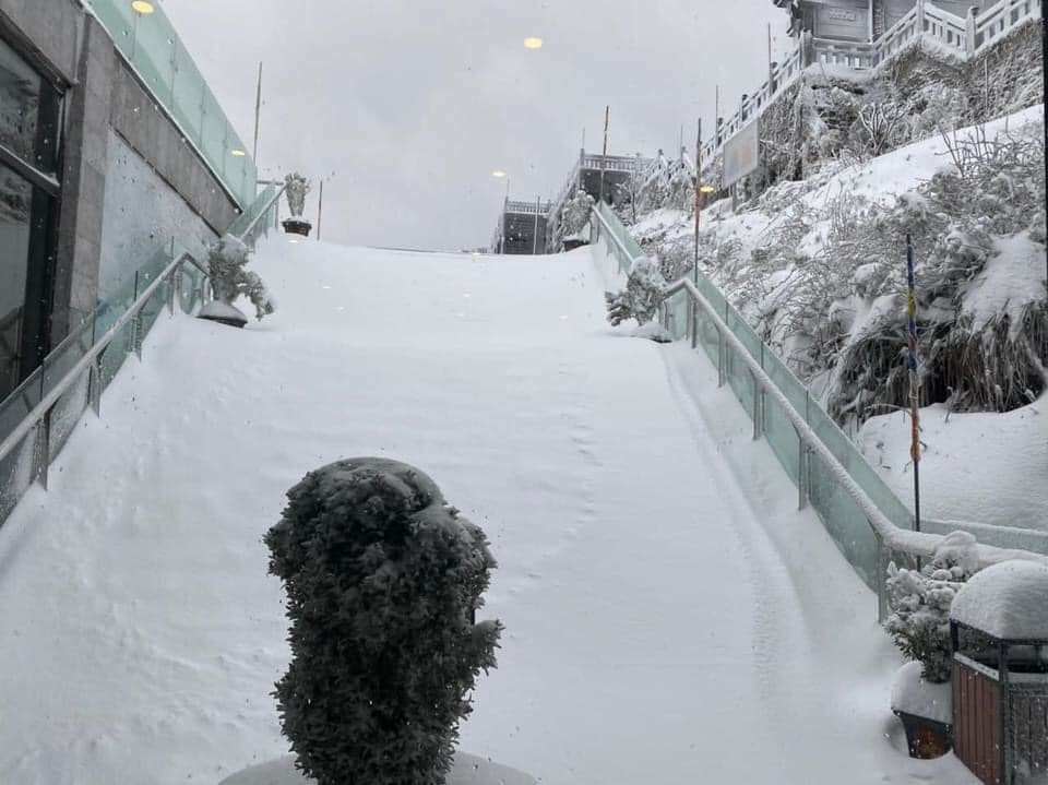 Tuyết rơi phủ dày trên đỉnh Fansipan (Lào Cai), khung cảnh đẹp tựa như phim cổ trang ảnh 7