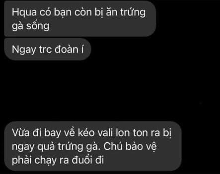 Hàng loạt tiếp viên của Vietnam Airlines đăng hashtag xin lỗi, mong được đối xử văn minh ảnh 2