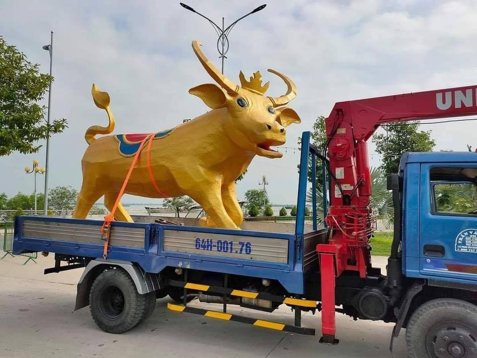 Trâu vàng "Tân Sửu" của tỉnh Vĩnh Long với biểu cảm khó đỡ. (Ảnh: Kiệt Trần) Biểu cảm siêu hài hước của “Trâu vàng” Tân Sửu ở tỉnh Vĩnh Long: Tôi là ai và đây là đâu? ảnh 3