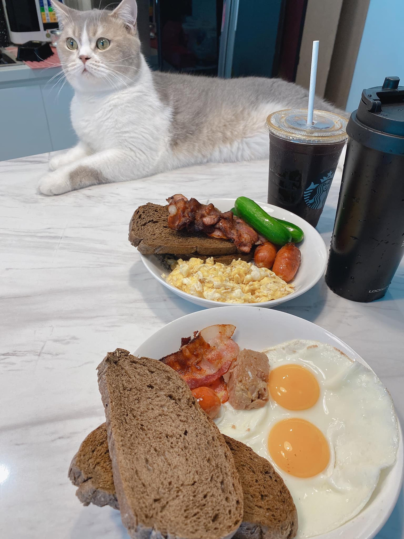 Dân mạng nể phục vì mùa dịch COVID-19 mà Tóc Tiên vẫn “bận rộn” thế này đây ảnh 1