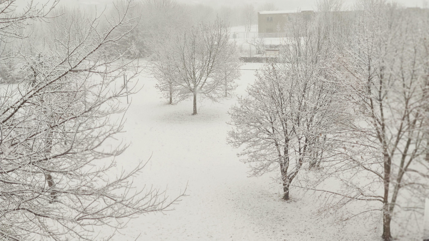 Du học sinh Việt tại Đức chia sẻ bí kíp cắt giảm một nửa chi tiêu để sống sót trong mùa dịch ảnh 4