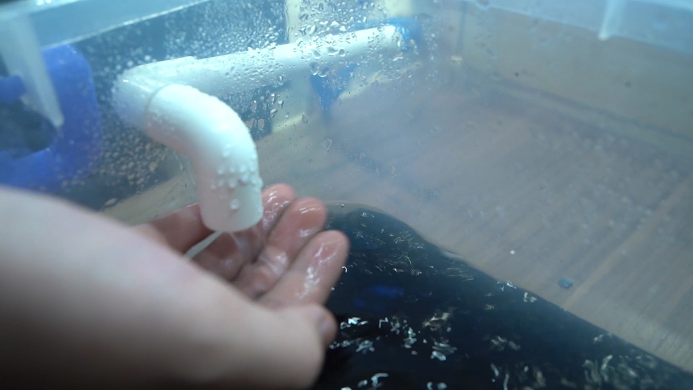 Học sinh lớp 8 tìm giải pháp cải thiện ô nhiễm nguồn nước bằng ứng dụng hạt Nano TIO2 ảnh 4