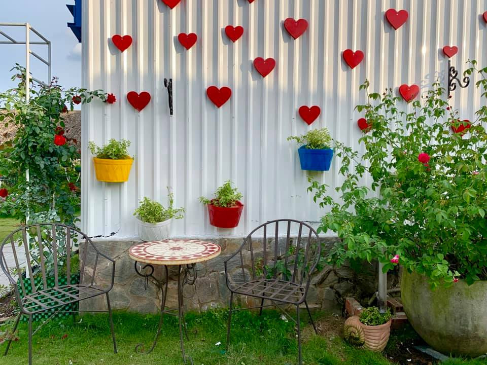 Địa điểm check-in Tết Dương lịch 2021: “Vườn hoa Đà Lạt” giữa lòng Sài Gòn hút giới trẻ ảnh 4