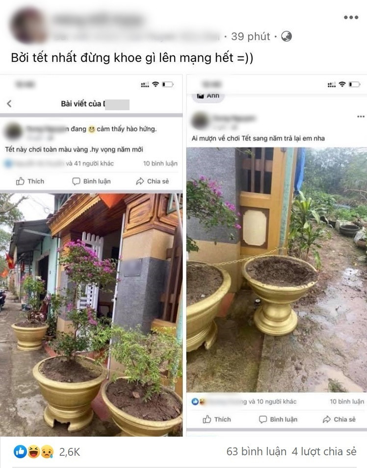 Cô gái lên Facebook khoe cây cảnh trước nhà, hôm sau rút ra kinh nghiệm: “Tết đừng khoe gì lên mạng“ ảnh 3