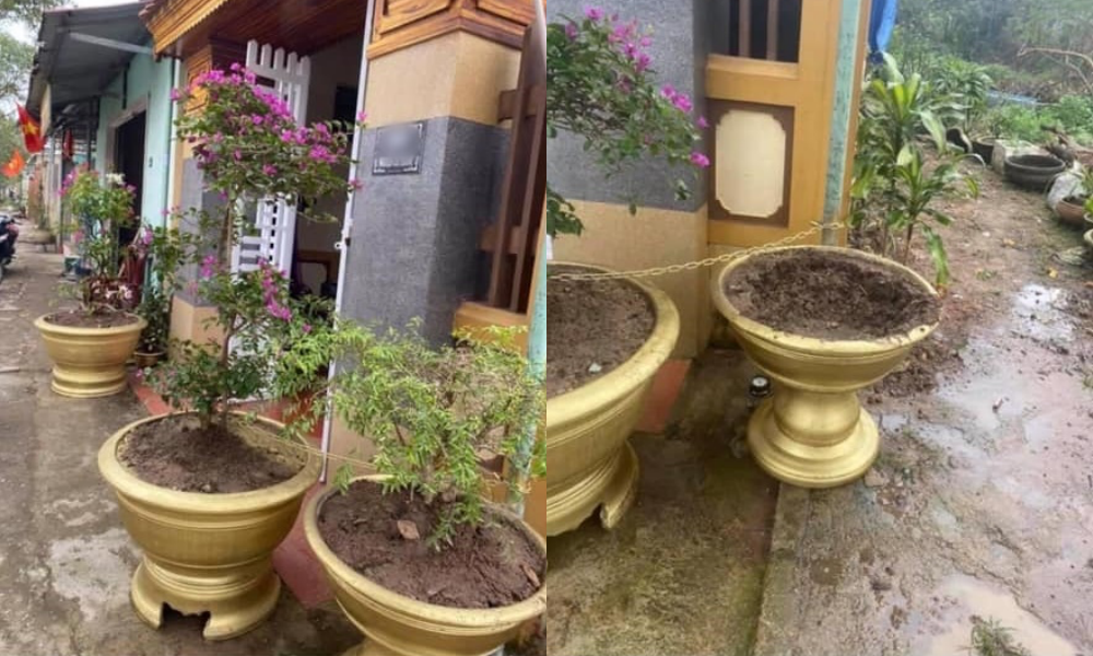 Tết ở đâu cũng là Tết, hãy để Tết này dù khác lạ cũng trở nên thật đáng nhớ trong mỗi chúng ta ảnh 9