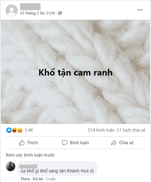 Bên dưới bài viết, nhiều thành viên khác cũng hào hứng tham gia bình luận bài viết “Trại tâm thần đa ngôn ngữ”: Thế giới “hề hước” của người trẻ ảnh 3