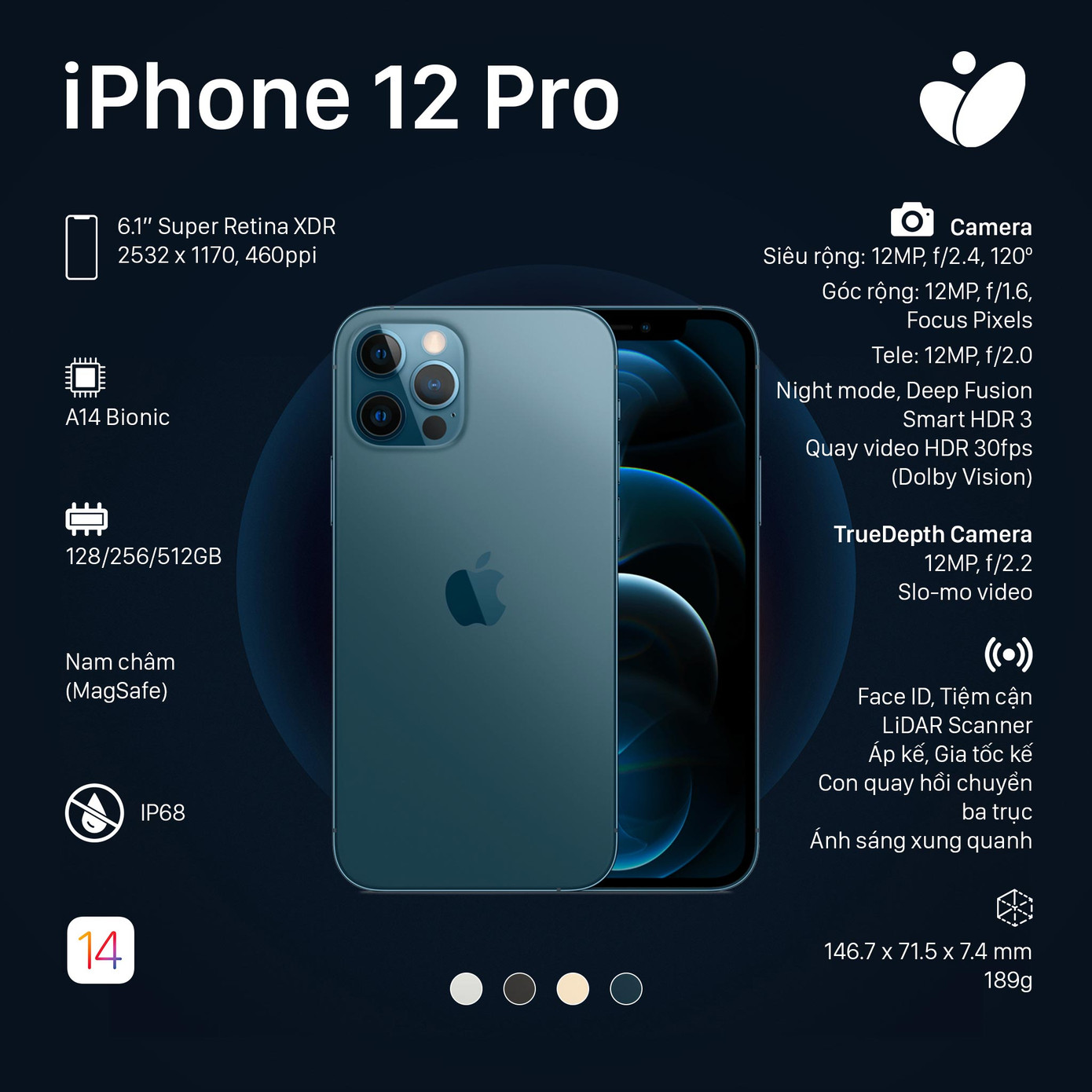 Phiên bản iPhone 12 Pro, iPhone 12 Pro Max: Màn hình lớn viền mỏng, có thêm 2 màu sắc mới ảnh 2