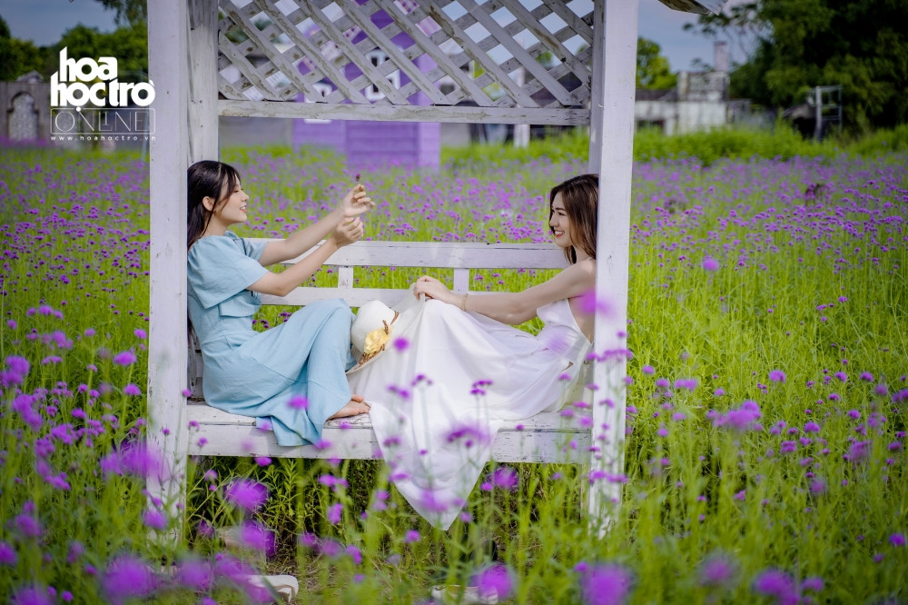 Giới trẻ Hà Nội rủ nhau check-in ở cánh đồng hoa oải hương rộng hàng chục nghìn mét vuông ảnh 7