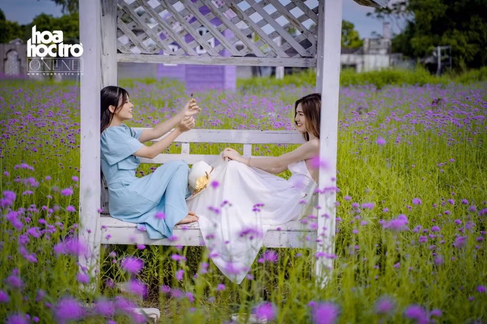 Giới trẻ Hà Nội rủ nhau check-in ở cánh đồng hoa oải hương rộng hàng chục nghìn mét vuông ảnh 7