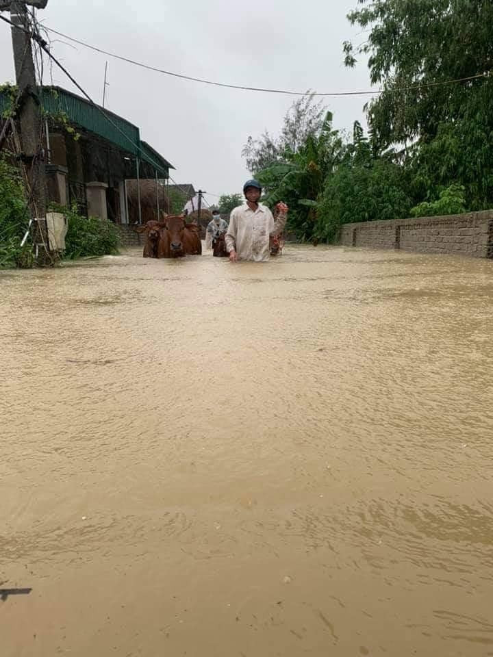 Cảnh tượng xót xa: Nhiều nơi tại Nghệ An ngập sâu trong nước lũ, khu vực biển bị sập bờ kè ảnh 2