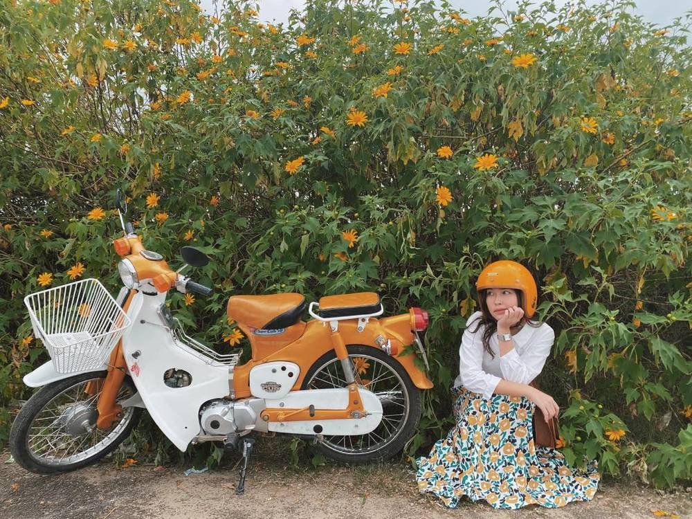 Tháng 11 “check-in” ở Đà Lạt: Bật mí những địa điểm tràn ngập dã quỳ, chẳng sợ chen chúc ảnh 4