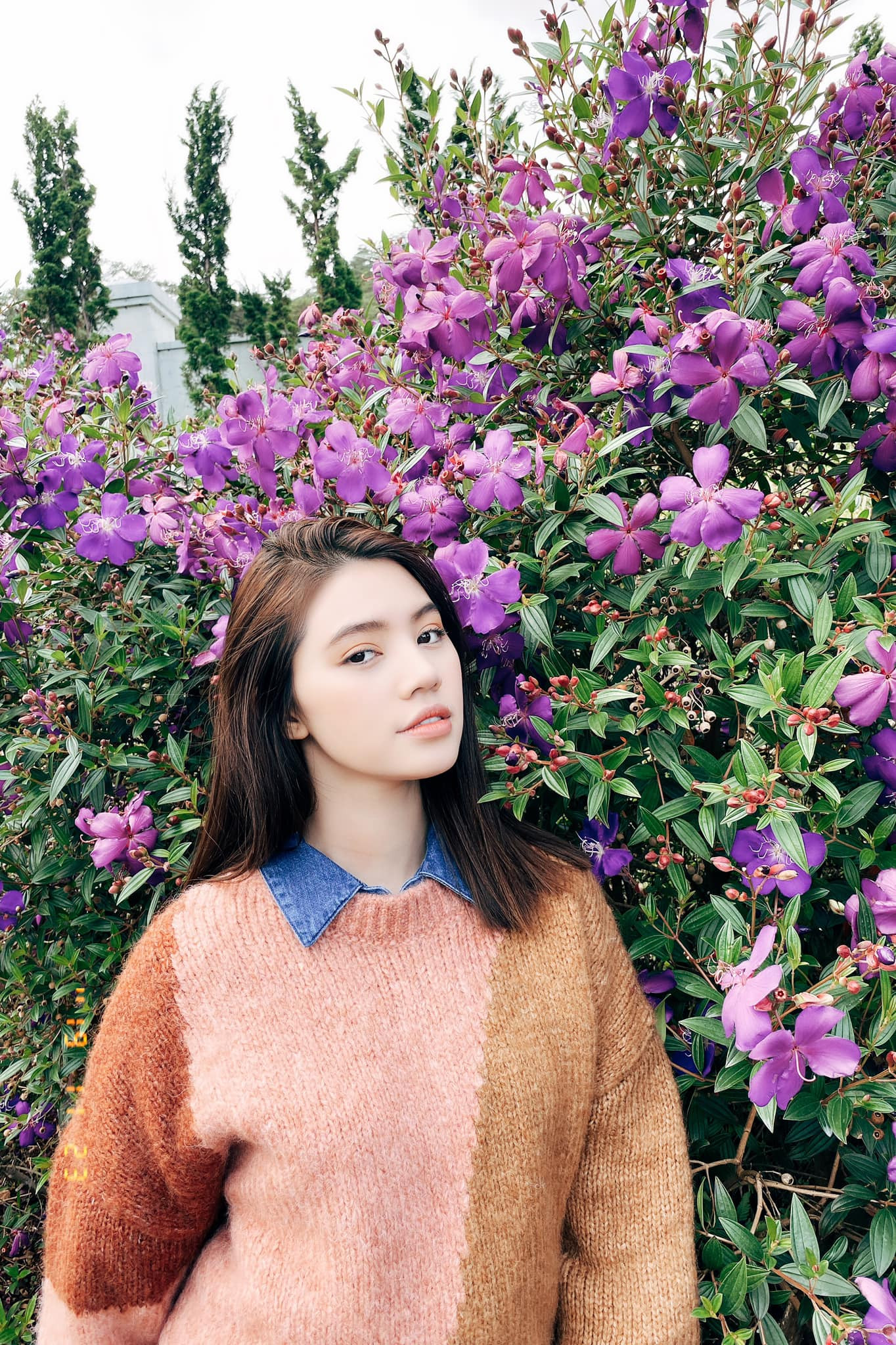 Sau động thái lạ, Jolie Nguyễn lại khiến bạn bè thêm lo lắng vì không trả lời tin nhắn ảnh 1