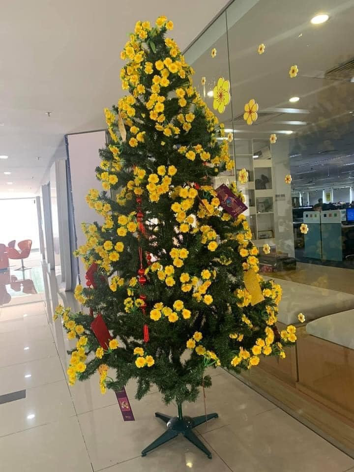 Công ty “chơi lớn” mua hẳn một “cây mai vàng” siêu to khổng lồ chơi Tết, khi đến gần mới té ngửa ảnh 1