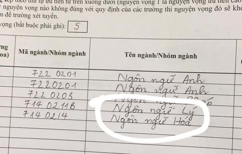 Những tình huống “cười ra nước mắt” của hội “sĩ tử” đăng ký xét tuyển Đại học ảnh 4