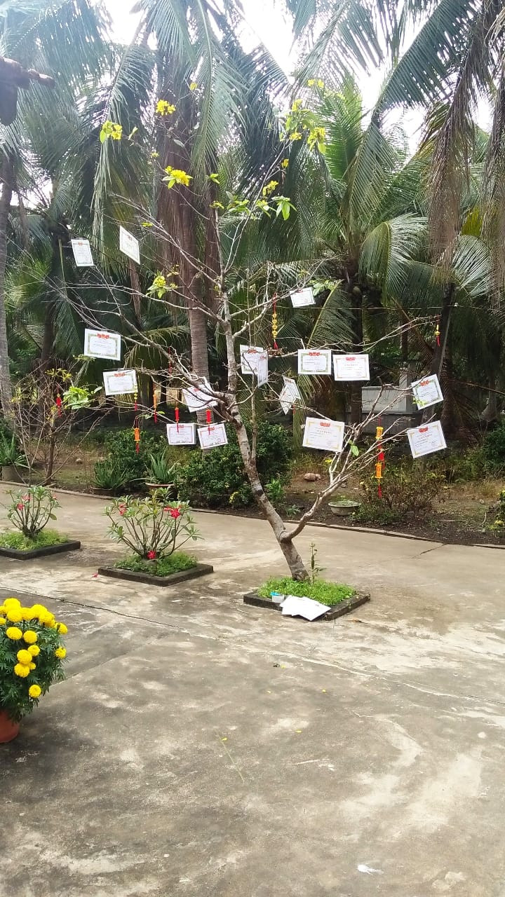 Trào lưu “hot” của teen Việt trong những ngày Tết: Khoe cây cảnh treo đầy bằng khen, huy chương ảnh 3