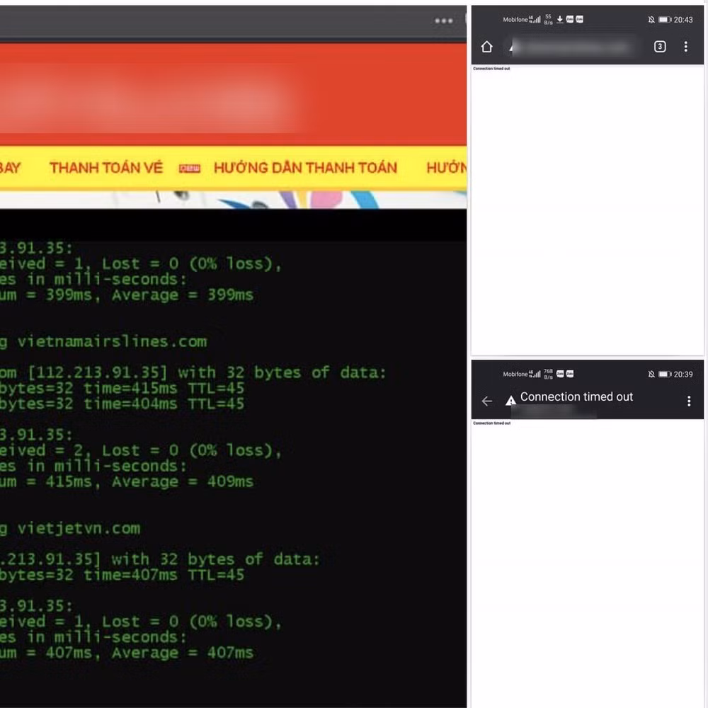 Hiếu PC “đánh sập” 2 website mạo danh hãng hàng không, nhận về cú “phản dame” cực gắt ảnh 2