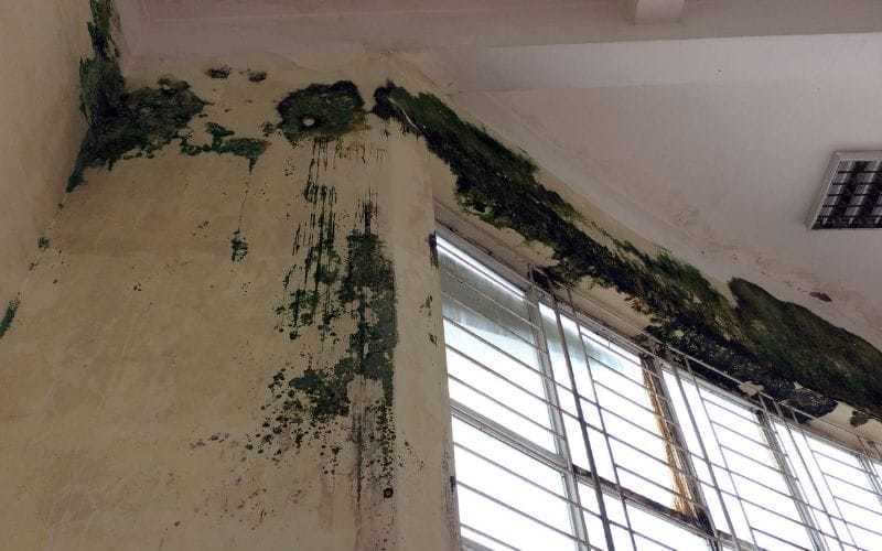 Ngày đầu trở lại trường: Toát mồ hôi khi thấy bàn ghế phủ đầy bụi, nhà để xe “xanh cỏ“ ảnh 2