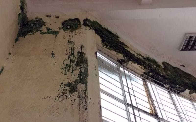 Ngày đầu trở lại trường: Toát mồ hôi khi thấy bàn ghế phủ đầy bụi, nhà để xe “xanh cỏ“ ảnh 2