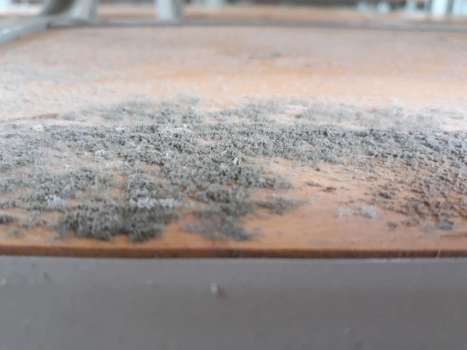 Ngày đầu trở lại trường: Toát mồ hôi khi thấy bàn ghế phủ đầy bụi, nhà để xe “xanh cỏ“ ảnh 1