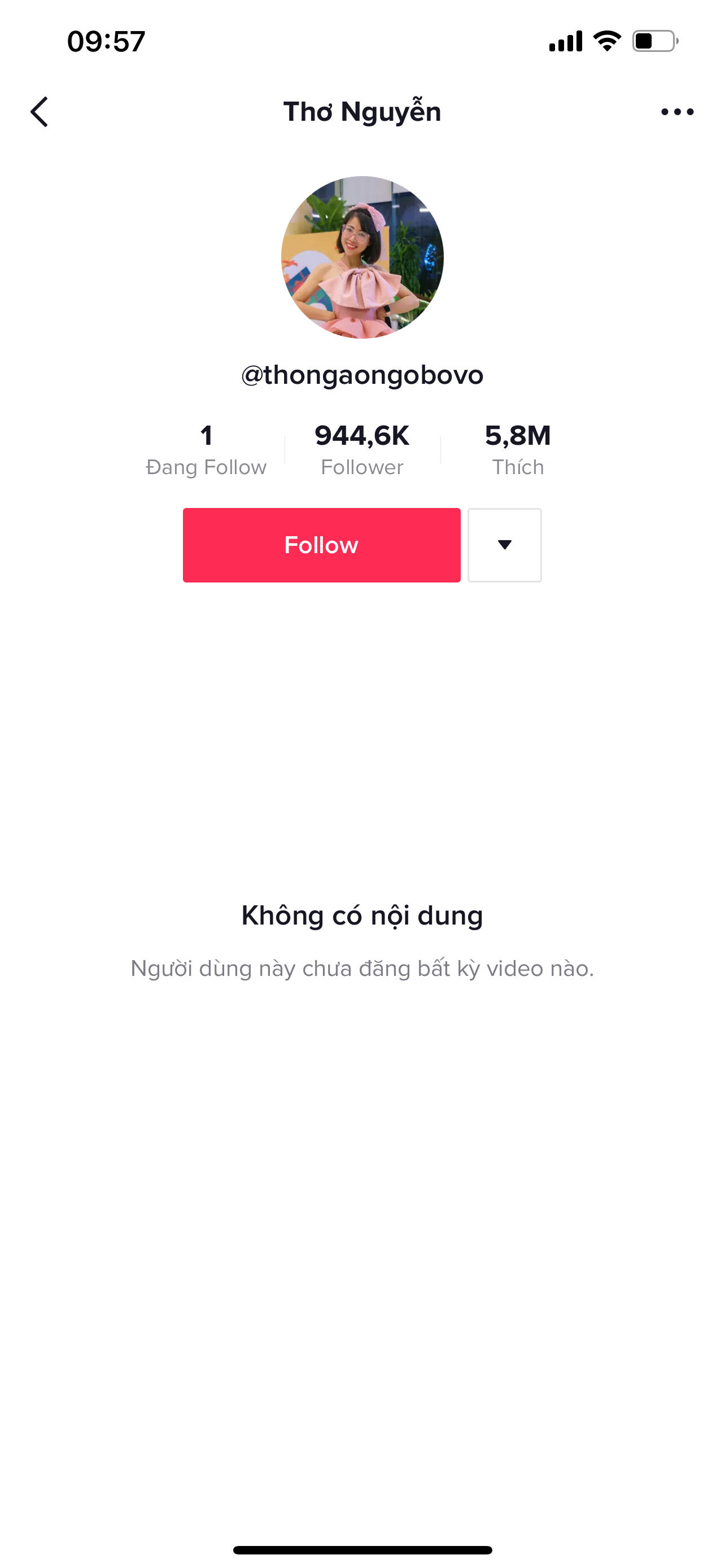 Ẩn hết video TikTok, khóc lóc chán trên clip, Thơ Nguyễn lại cử đại diện lên phân bua gì? ảnh 1